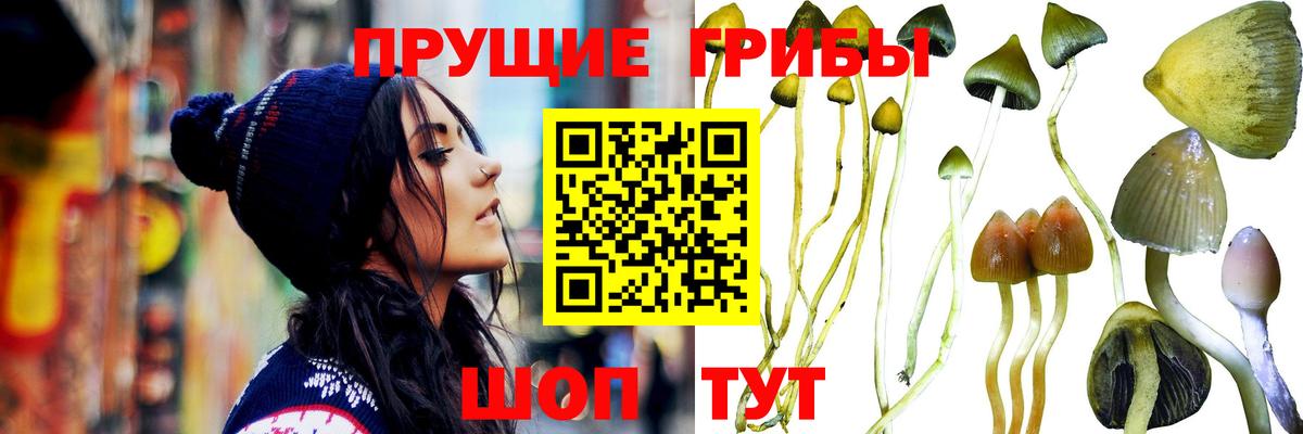 Псилоцибиновые грибы MAGIC MUSHROOMS Троицк